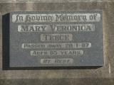 image of grave number 499606